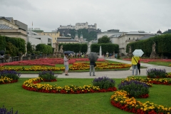 DSC03757_129684.jpg