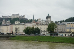 DSC03771_129698.jpg