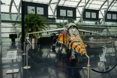 DSC03813_129738.jpg