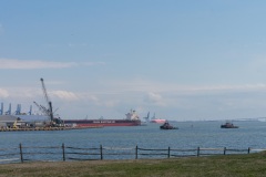 DSC01115.jpg