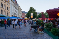 DSC03313_152673.jpg