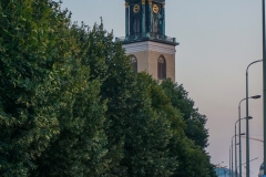 DSC03317_129376.jpg