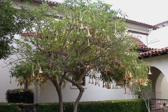 DSC00006_4365.jpg