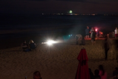DSC08682.jpg