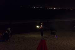 DSC08719.jpg