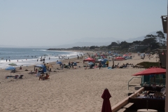 DSC08784.jpg
