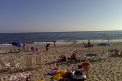 IMG00007.jpg