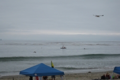 IMG_1161_12817.jpg