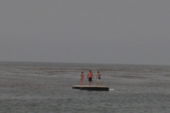 IMG_1195_12848.jpg