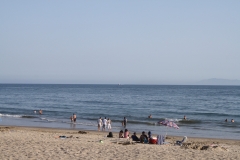 IMG_1591_16856.jpg