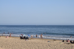IMG_1592_16858.jpg