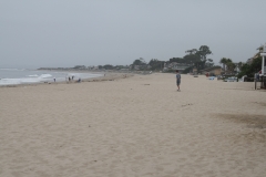 IMG_1645_16831.jpg