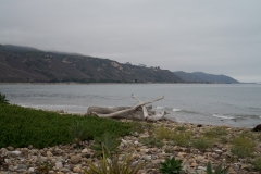 DSC03302.jpg