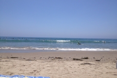 IMG_1956_116755.jpg