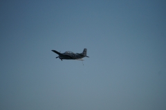 DSC06553.jpg