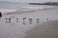 DSC06564.jpg