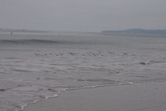 DSC06567.jpg