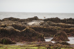 DSC06627.jpg