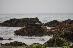 DSC06628.jpg