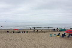 IMG_0186.jpg