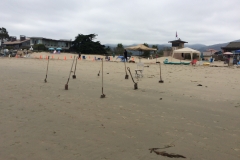 IMG_0188.jpg