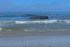 IMG_5250