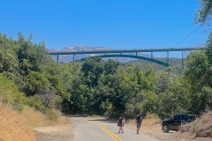 IMG_5261