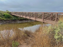 IMG_3389