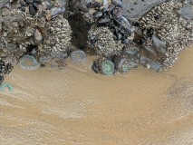 IMG_3394
