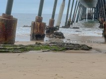 IMG_3419