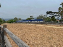 IMG_3425