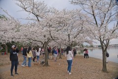 A7_01196
