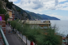 DSC03990_129908.jpg