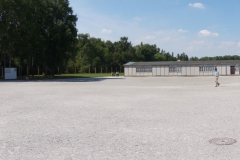 DSC03484.jpg