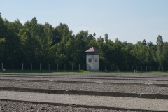 DSC03488_129540.jpg