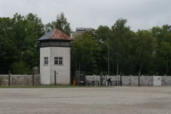DSC03740_129667.jpg