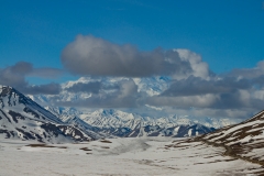 DSC09791.jpg