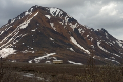 DSC09808.jpg