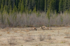 DSC09857.jpg