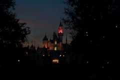 Dcp00715_2.jpg