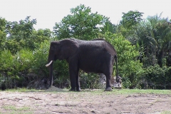 DSC00063_11956.jpg