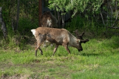 DSC09563.jpg