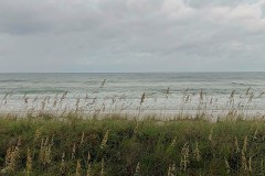 IMG_3271