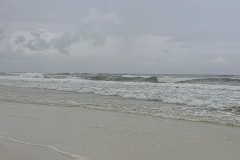 IMG_8991