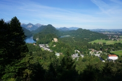DSC03512_129563.jpg