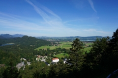 DSC03513.jpg