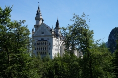 DSC03524.jpg