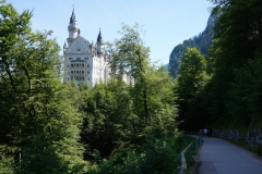 DSC03525.jpg