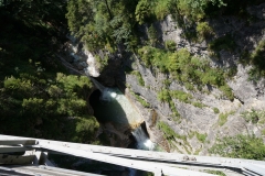 DSC03532.jpg