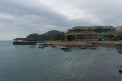 DSC01186.jpg